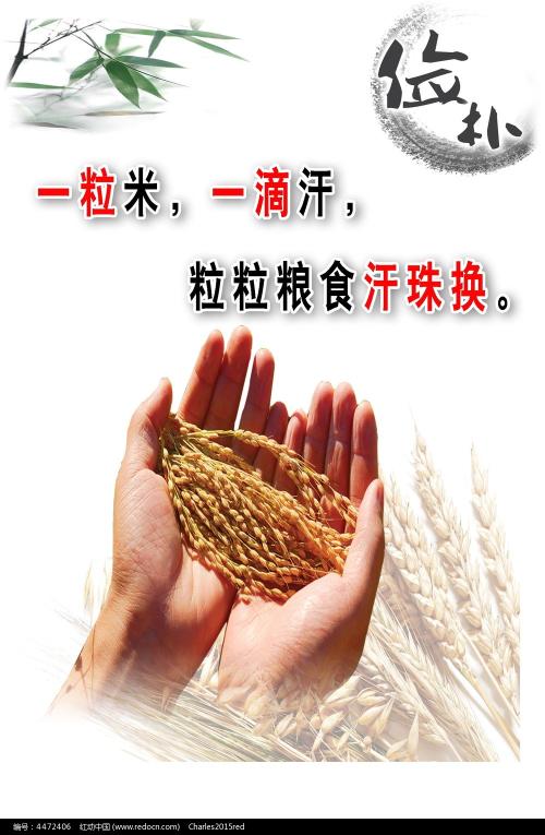 计算机二级证证